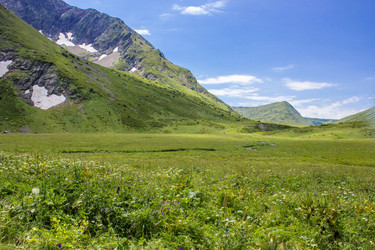 Similar image 13120752