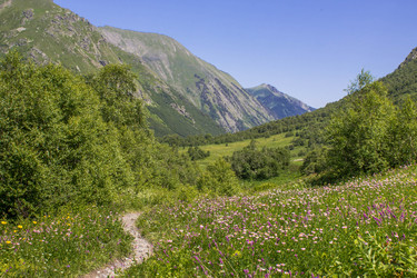 Similar image 13120753