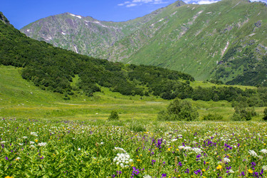 Similar image 13120754