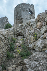 Similar image 13120757