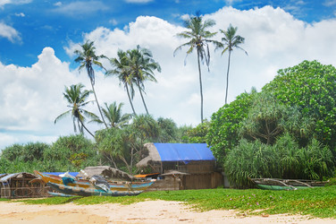 Similar image 13125120