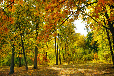 Similar image 13125134