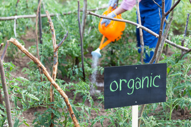 Similar image 13122203