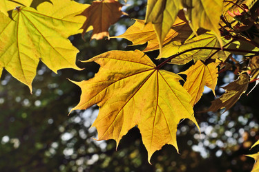 Similar image 13128010