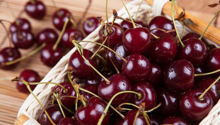 Similar image 13125669