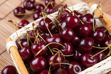 Similar image 13125670