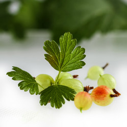 Similar image 13122135