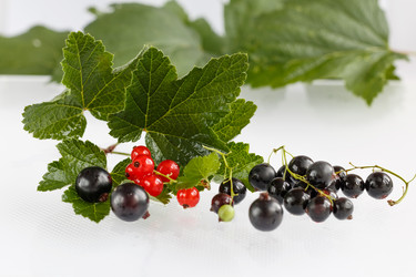 Similar image 13122136