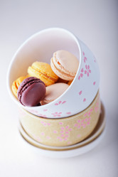 Similar image 13124319