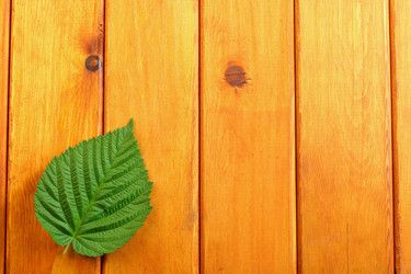 Similar image 13122473