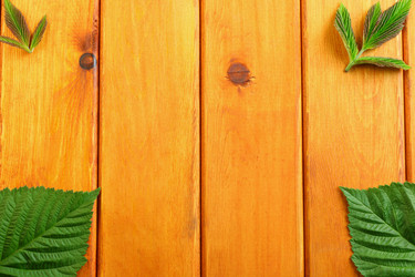 Similar image 13122474