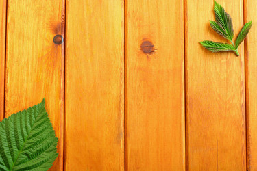 Similar image 13122475