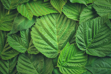 Similar image 13122476