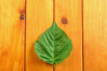 Similar image 13122477