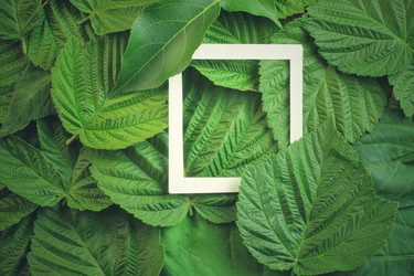 Similar image 13122478