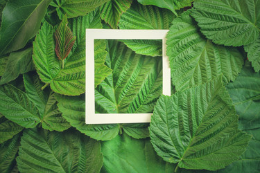 Similar image 13122479