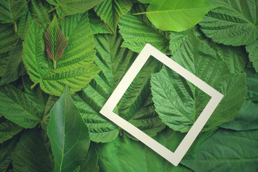 Similar image 13122481