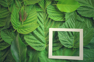 Similar image 13122482