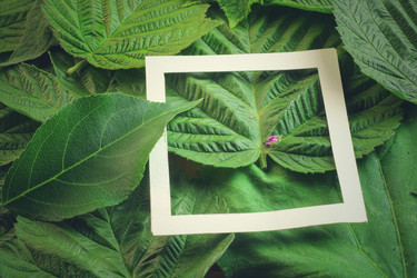 Similar image 13122483