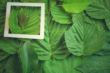 Similar image 13122484