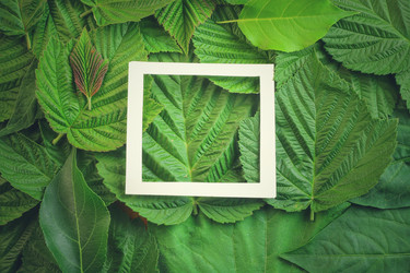 Similar image 13146835