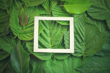 Similar image 13146836