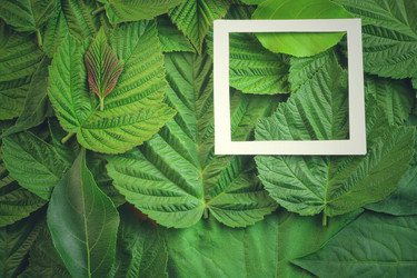 Similar image 13146837