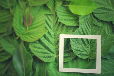 Similar image 13146838