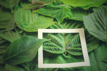 Similar image 13146859