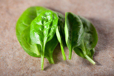 Similar image 13126155