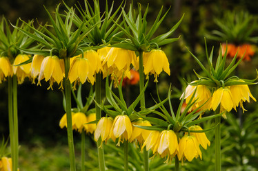 Similar image 13124061