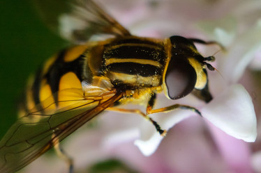 Similar image 13124062