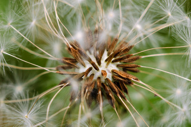 Similar image 13124063