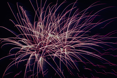 Similar image 13125295