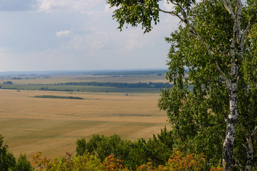 Similar image 13125303