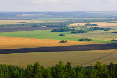 Similar image 13125314