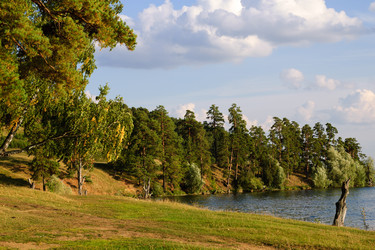 Similar image 13125316