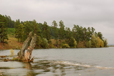 Similar image 13125318