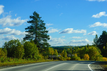 Similar image 13125325