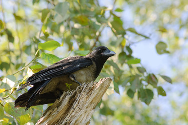 Similar image 13125326