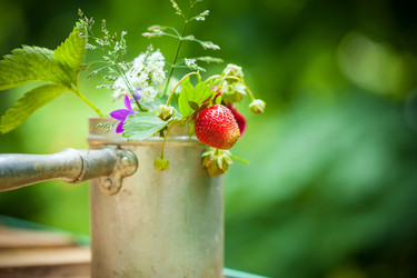 Similar image 13124323