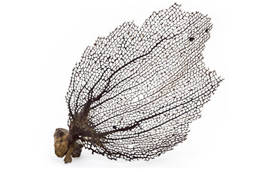 Similar image 13124046