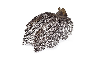 Similar image 13124047