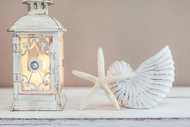 Similar image 13126069