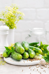 Similar image 13123594