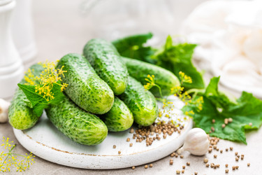 Similar image 13123595