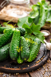 Similar image 13124083