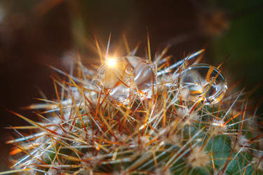 Similar image 13124171