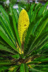 Similar image 13124175