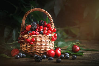 Similar image 13125789